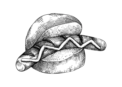 Grilled sausage in bun with mustards. Fast food drawing. German food sketch. Oktoberfest menu design element. Hand drawn fast food illustration for Octoberfest. Traditional German cuisine meal sketch 